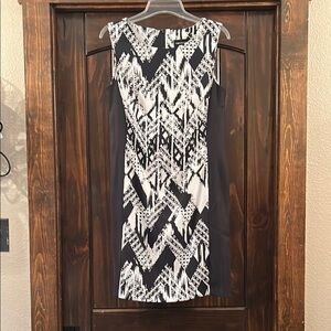 Connected Apparel Black and White Sheath Dress